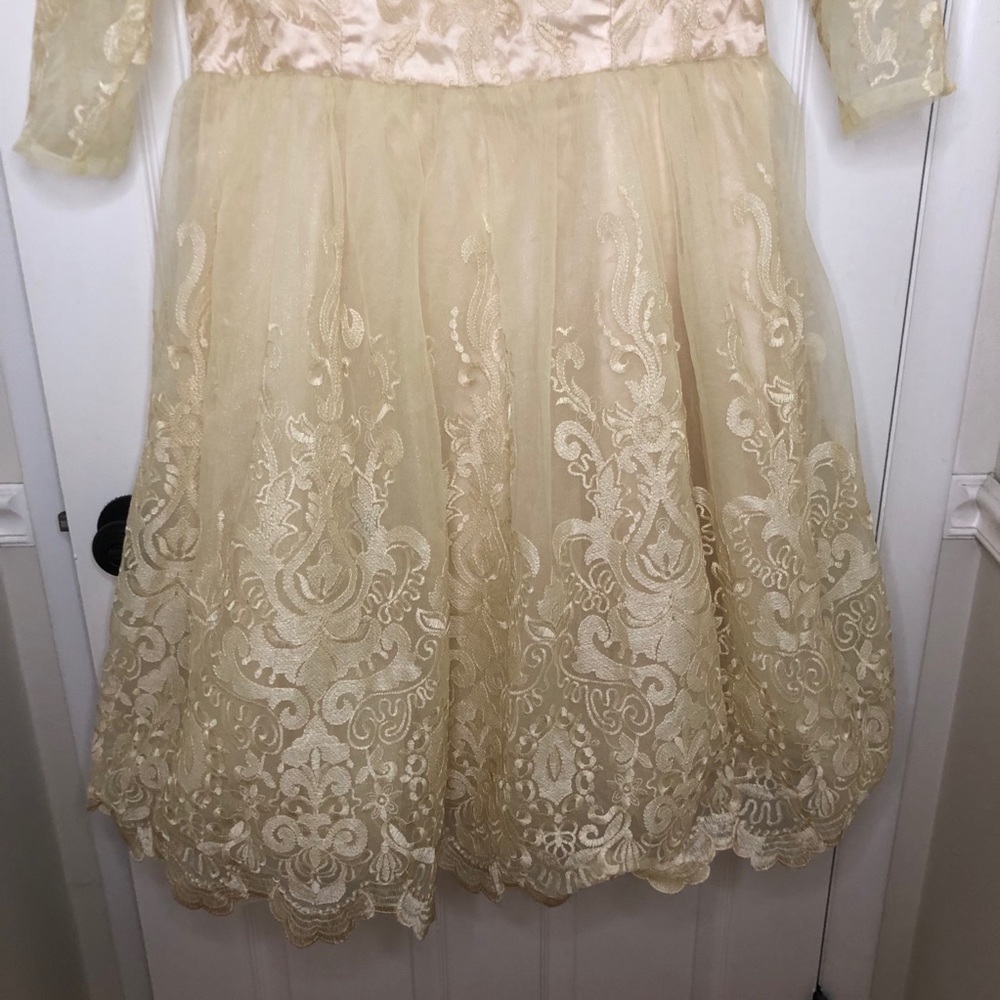 Chi Chi London ModCloth Gilded Grace Lace … - Picture 8 of 14
